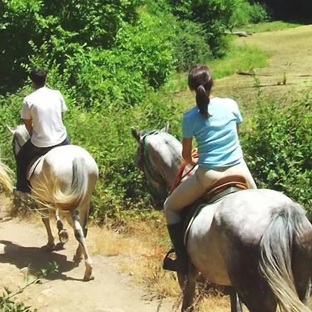 Ciocca 3* Castelnuovo Don Bosco